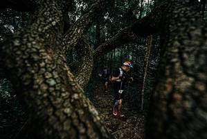 BIB: 
                            <button type="button" onclick="openModal(25679150)" class="btn btn-primary btn-sm float-right btn-popup" data-toggle="modal" data-target=".modal-high-quality">
                        <i class="fas fa-shopping-cart"></i> Add to Cart
                    </button>
                                            <button type="button" onclick="isThisMe(25679150, true)" class="btn btn-success btn-sm float-right btn-popup btn-isme hidden" data-toggle="tooltip" data-placement="bottom" title="นี่คือรูปของคุณใช่ไหม คลิกที่นี่เพื่อเอาเข้าอัลบั้ม">
                        <i class="fas fa-plus"></i> Add to album
                    </button>
                    <button type="button" onclick="isThisMe(25679150, false)" class="btn btn-warning btn-sm float-right btn-popup btn-isnotme hidden">
                        <i class="fas fa-ban"></i> Remove from album
                    </button>